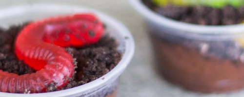 Mini chocolate dirt pudding