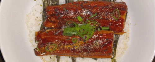 Unagi Don