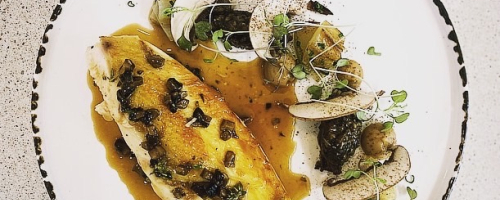 Chicken & mushroom