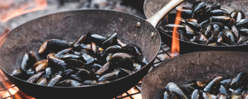 Mussels in a white wine sauce with fresh basil and chives