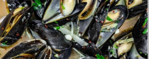 Mussels