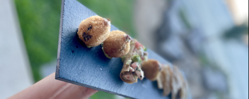 Parmesan arrancini with fois grois mousse