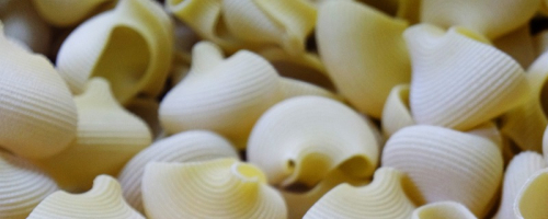 Ranch-Style White Cheddar Shells