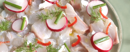 Carpaccio de dorade