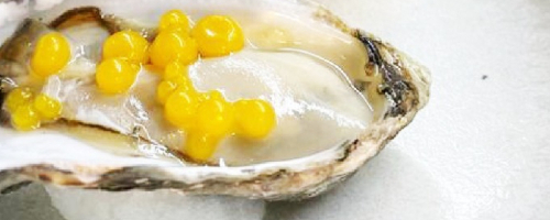 rock oyster half doz