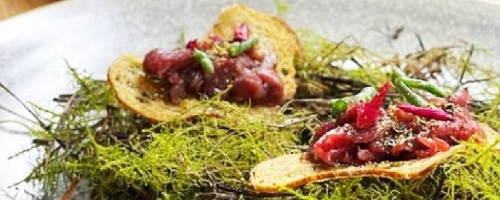crostini tartare