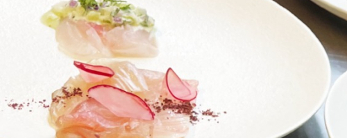 kingfish