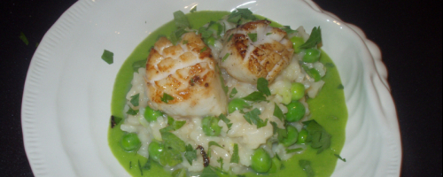 Truffled Pea Risotto w/ Pan Seared Day Boat Scallops