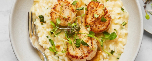 Risotto St Jacques Terre-Mer