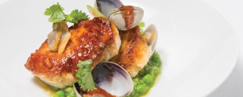 Miso Butterfish & clam brodetto