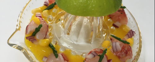 carabinero , emulsión de mango y salicornia