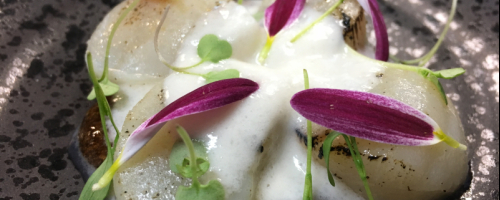 vieira curada con emulsión de coco