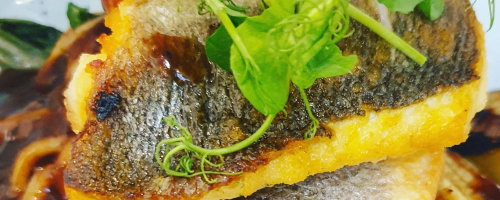 Wild seabass fillet
