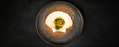 Seared Scallop with White Wine Sauce