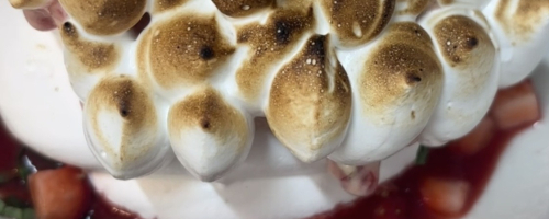 Flame torched baked Alaska
