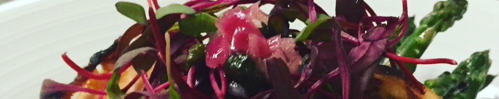 Chef Steph