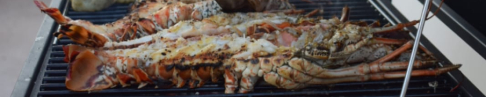 Chef Matías